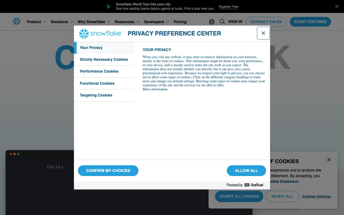 Snowflake interface screenshot